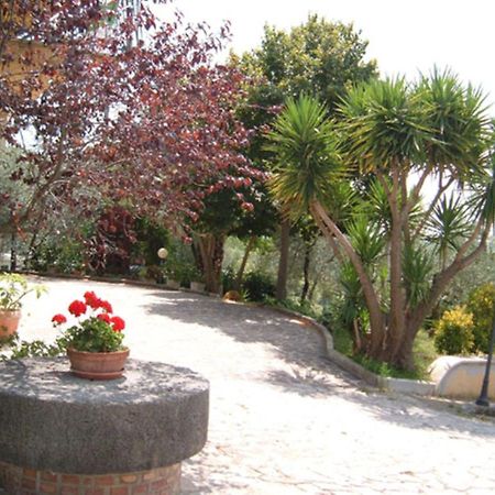 Villa L'Uliveto à Montebuono  Extérieur photo