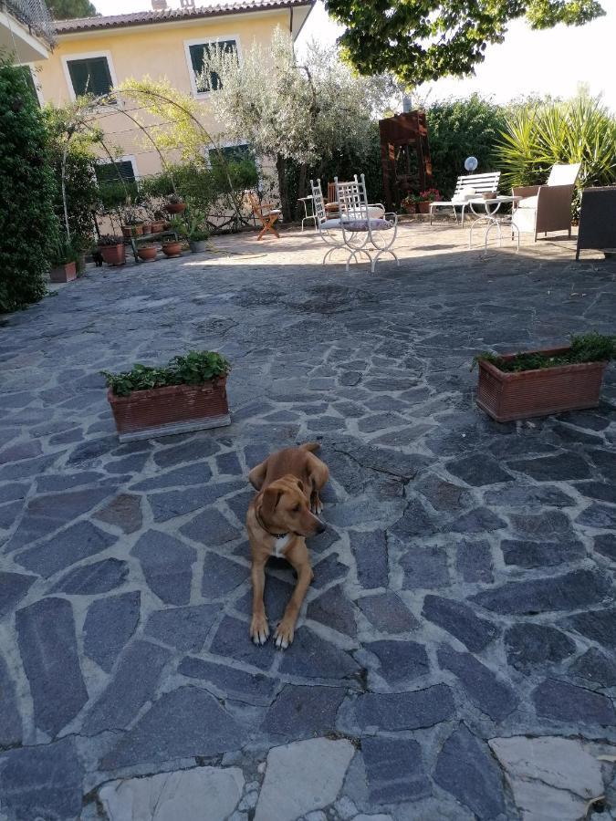 Villa L'Uliveto à Montebuono  Extérieur photo