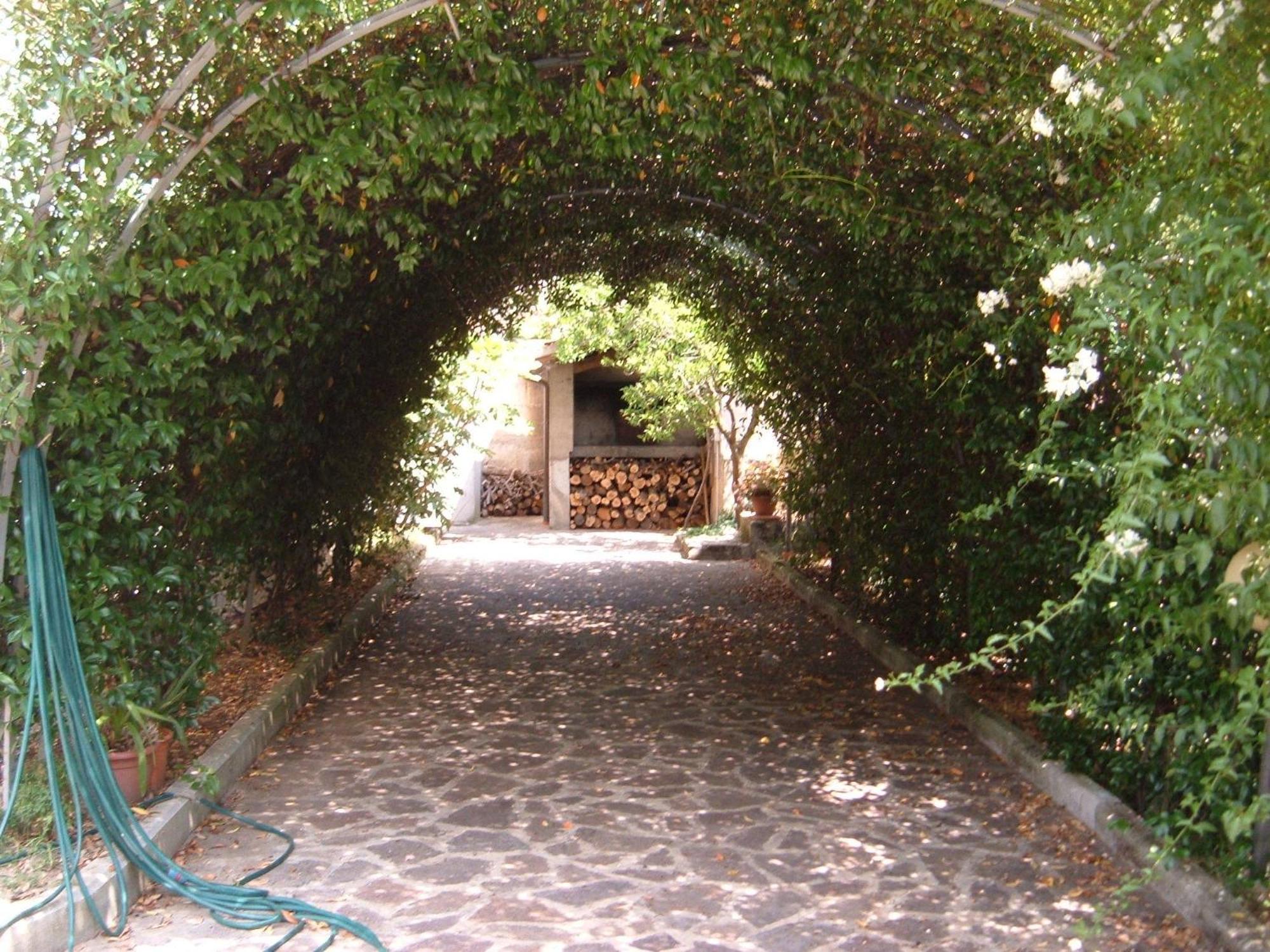 Villa L'Uliveto à Montebuono  Extérieur photo
