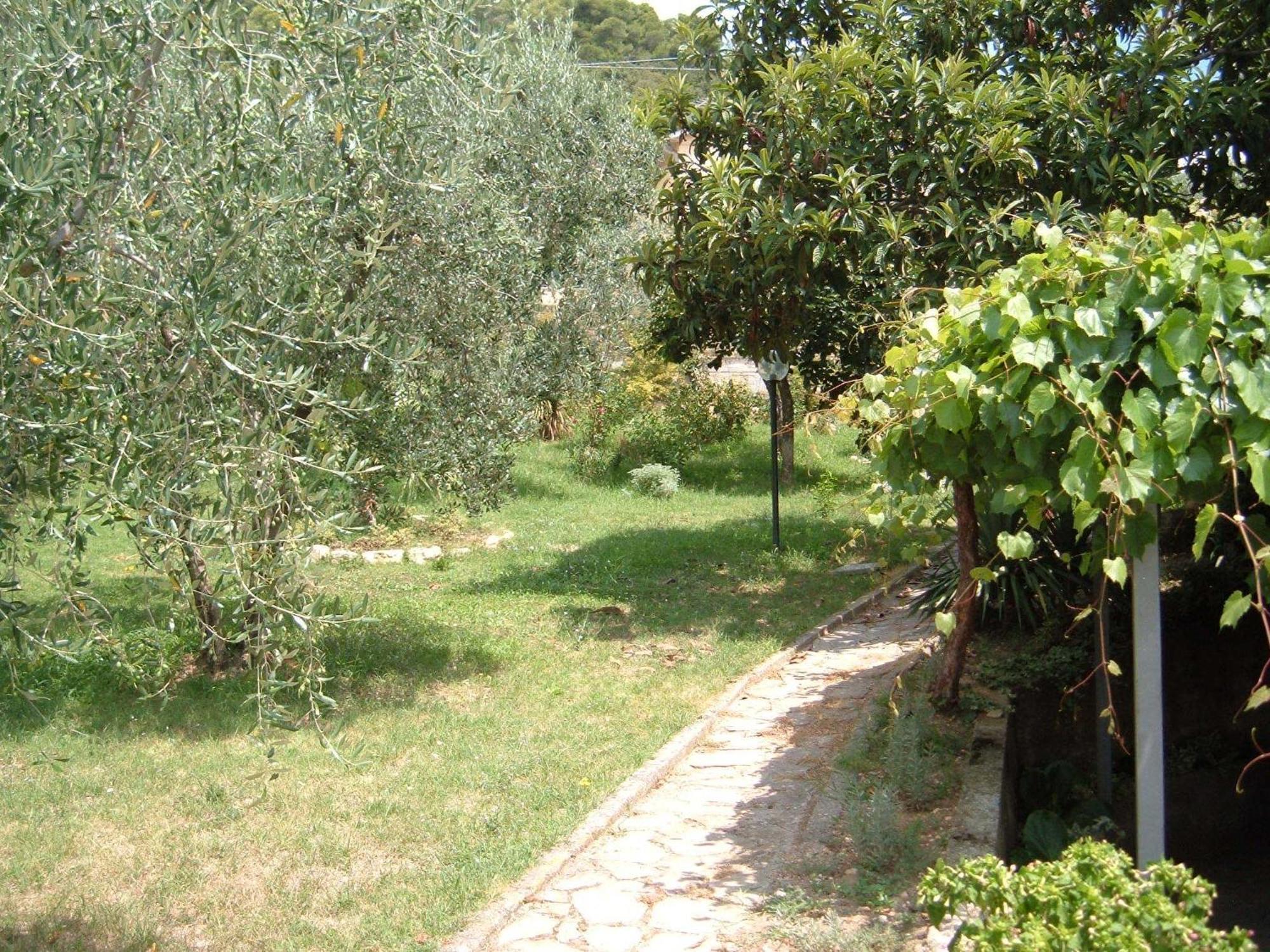 Villa L'Uliveto à Montebuono  Extérieur photo
