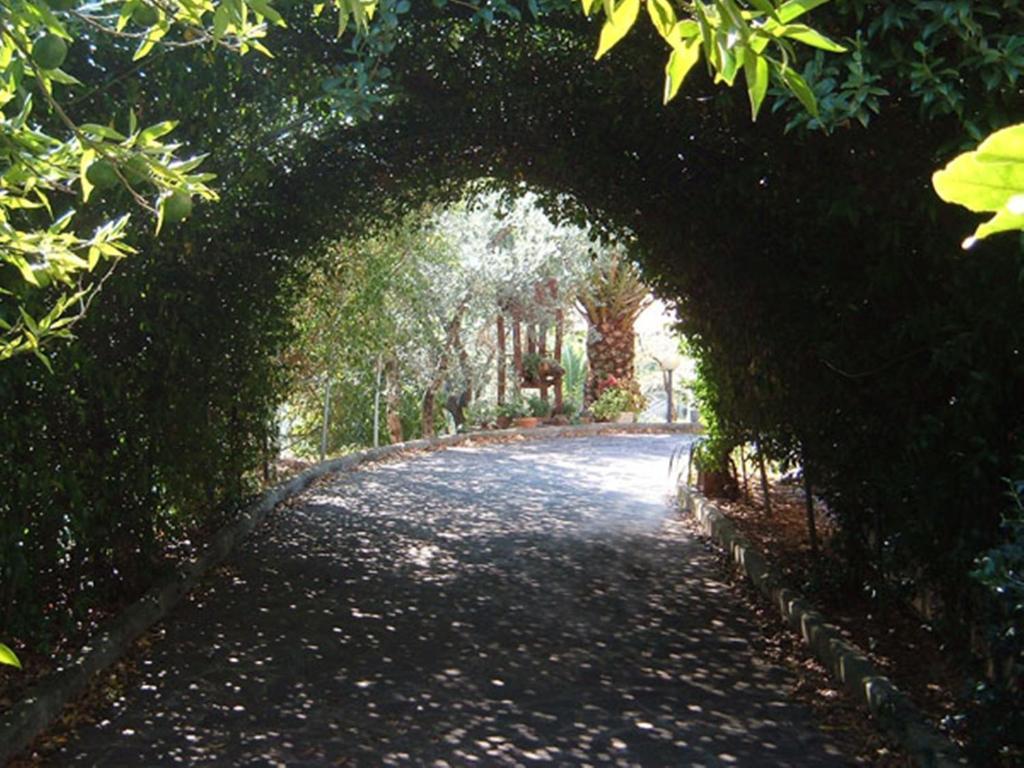 Villa L'Uliveto à Montebuono  Extérieur photo